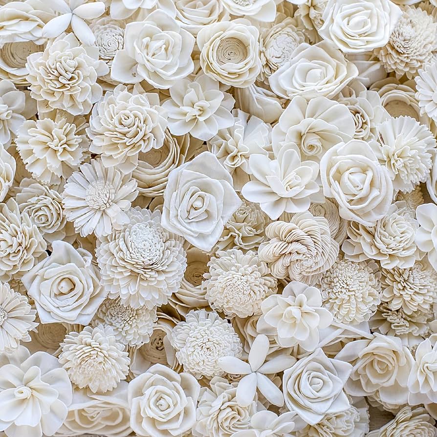 Amazon.com: Sola Wood Flowers Raw Random Assortment – Set of